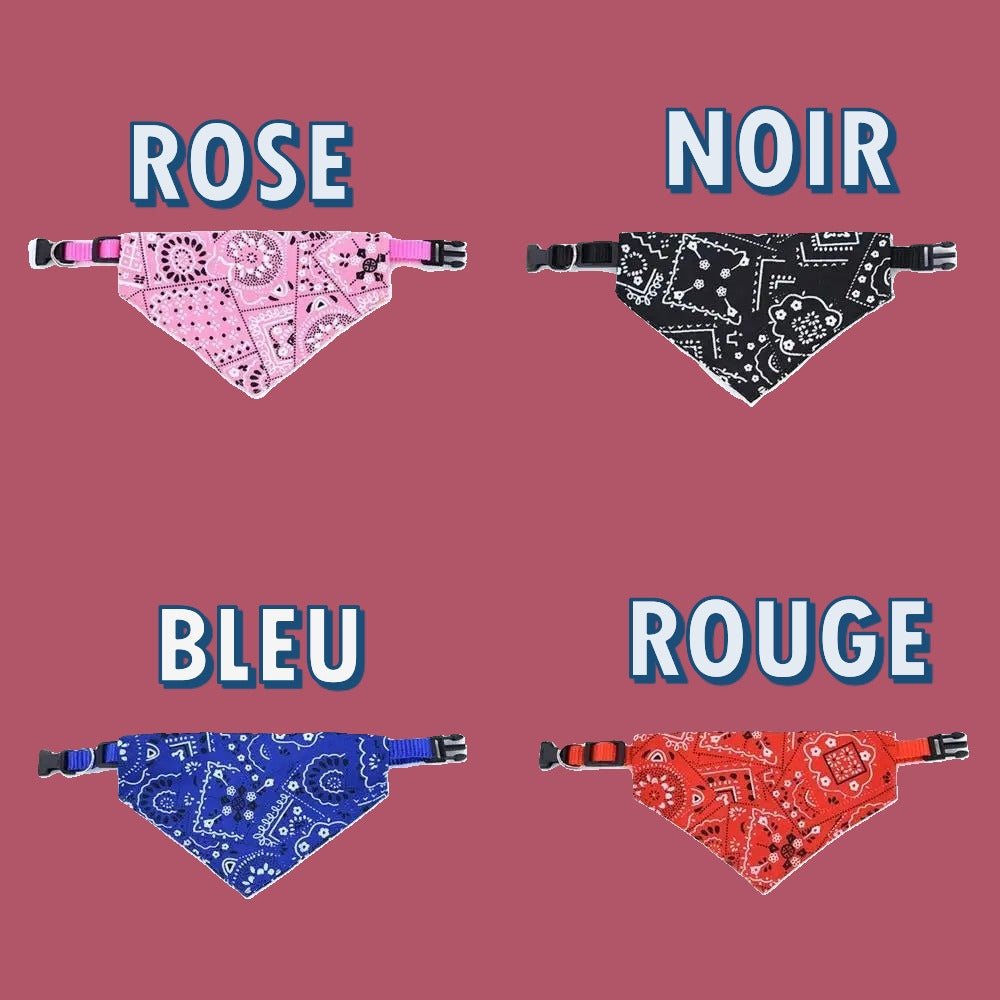 collier bandana pour chien couleurs