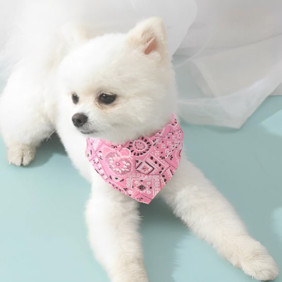 collier bandana pour chien rose