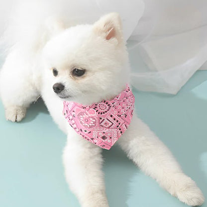 collier bandana pour chien rose