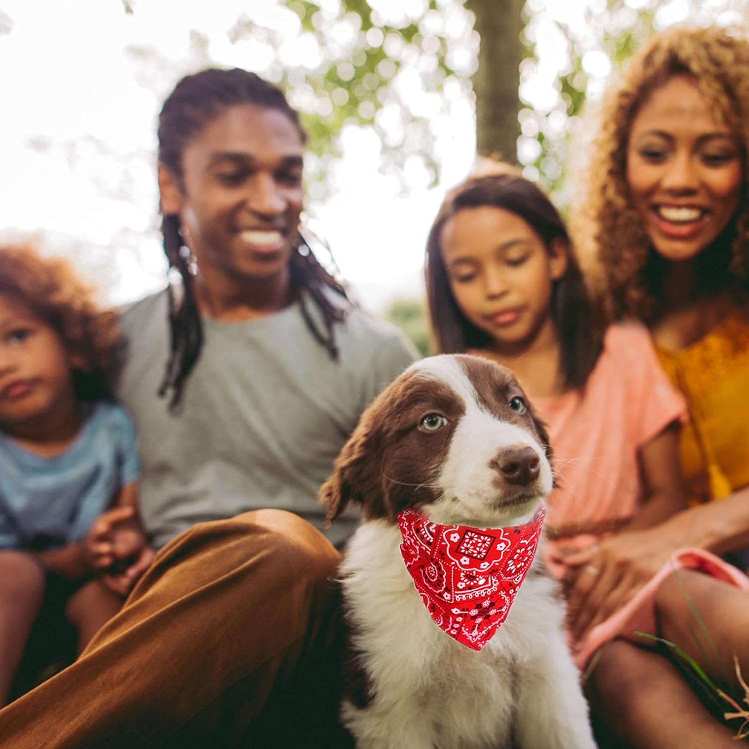 Collier bandana pour chien WestDog™ - caninpassion.com