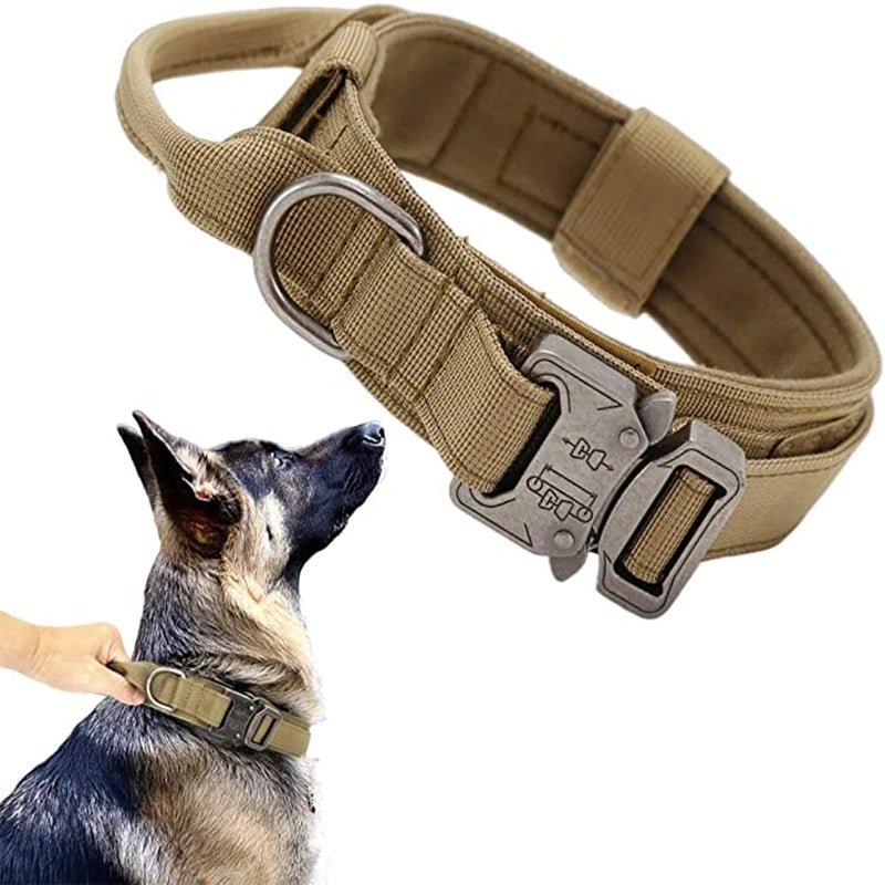 Collier pour Chien Tactique™ - caninpassion.com