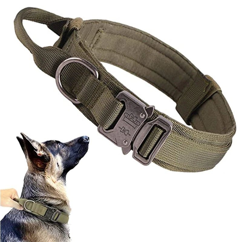 Collier pour Chien Tactique™ - caninpassion.com