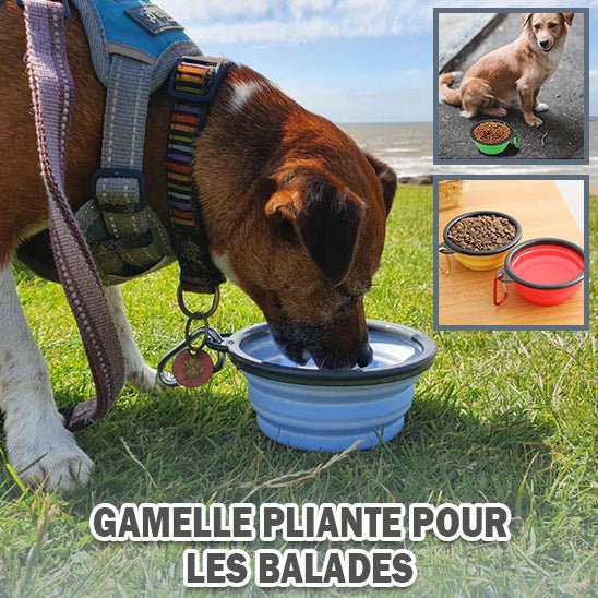 Gamelle Nomade™ gamelle pliante - caninpassion.com