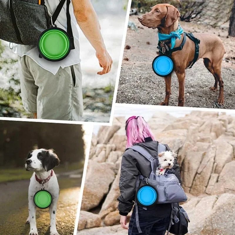 Gamelle Nomade™ gamelle pliante - caninpassion.com