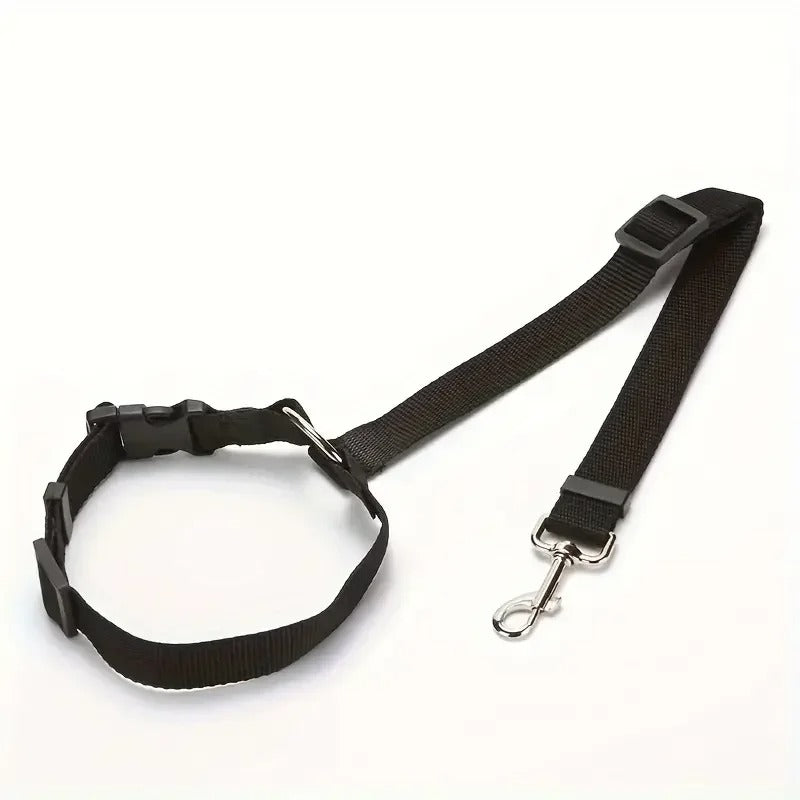 laisse-securite-noire