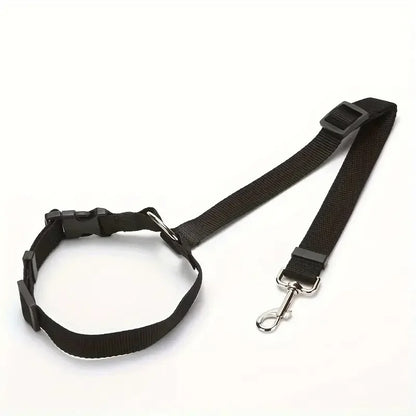 laisse-securite-noire