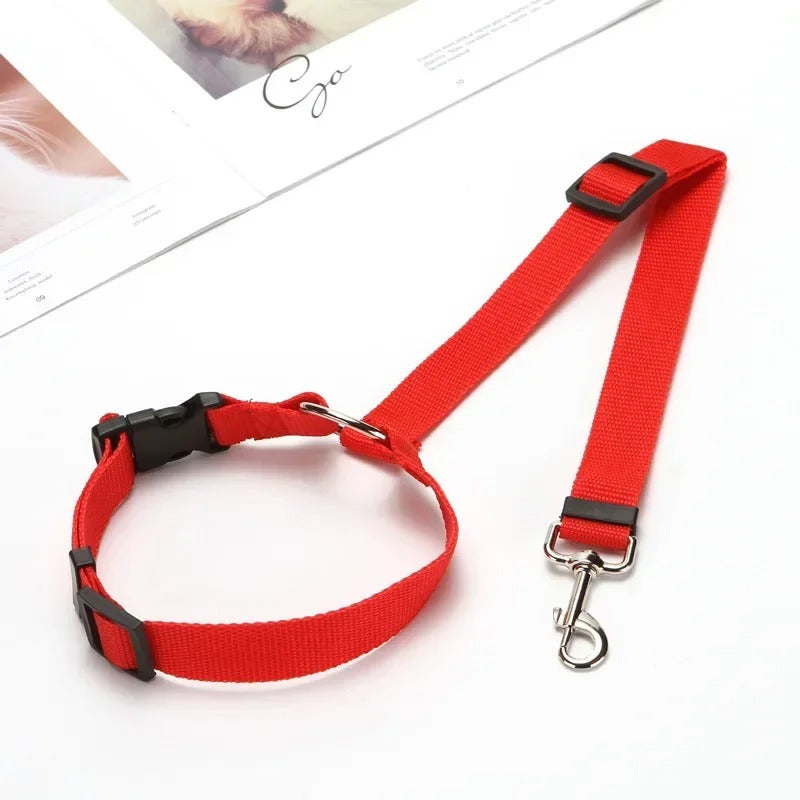 laisse-securite-rouge