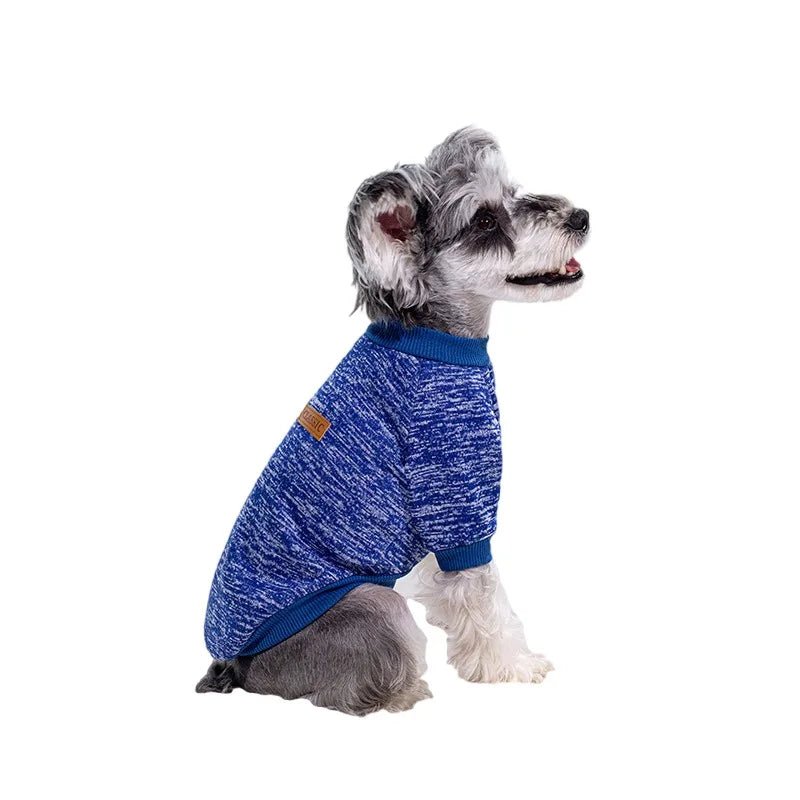 Sweat pour petit chien - caninpassion.com