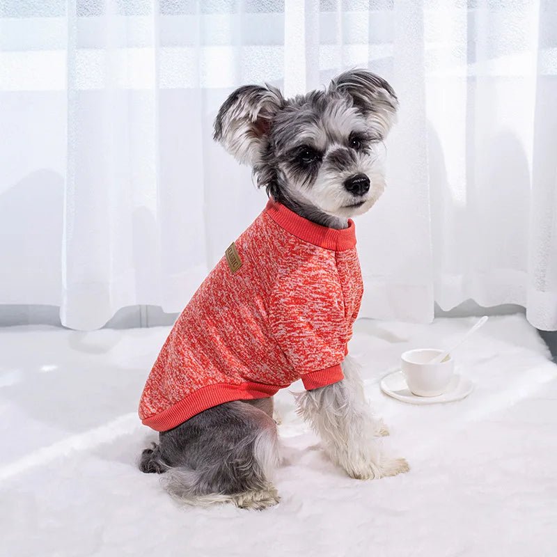 Sweat pour petit chien - caninpassion.com