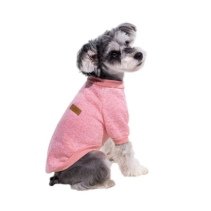 Sweat pour petit chien - caninpassion.com