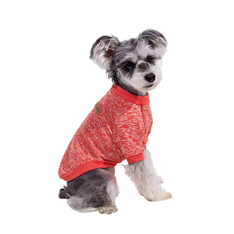 Sweat pour petit chien - caninpassion.com