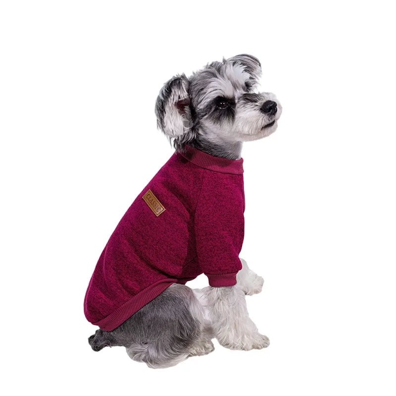 Sweat pour petit chien - caninpassion.com