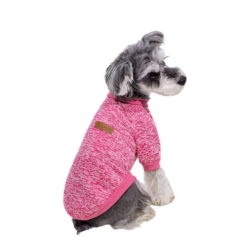 Sweat pour petit chien - caninpassion.com