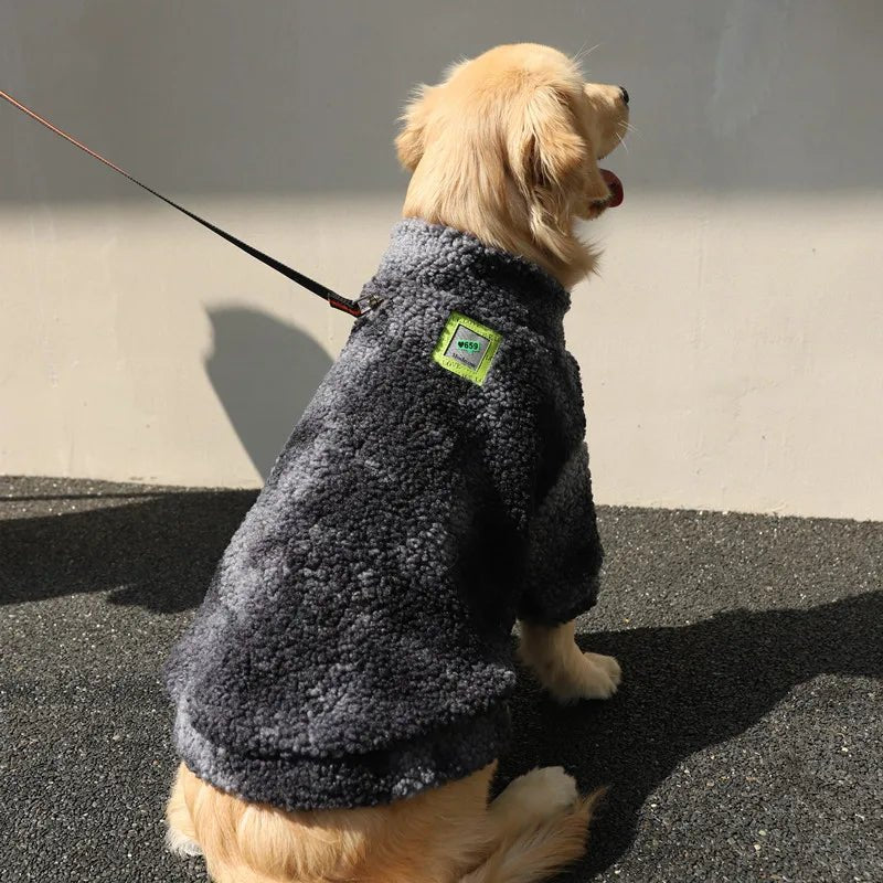 veste en laine pour chien - caninpassion.com