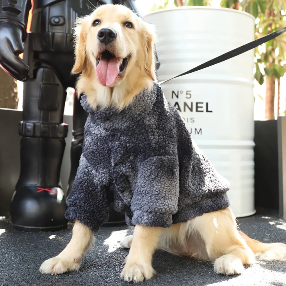 veste en laine pour chien - caninpassion.com