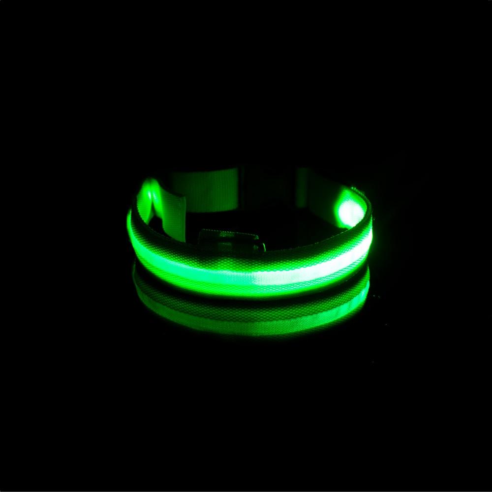 LedCollar™ - Collier à LED rechargeable pour chien - caninpassion.com